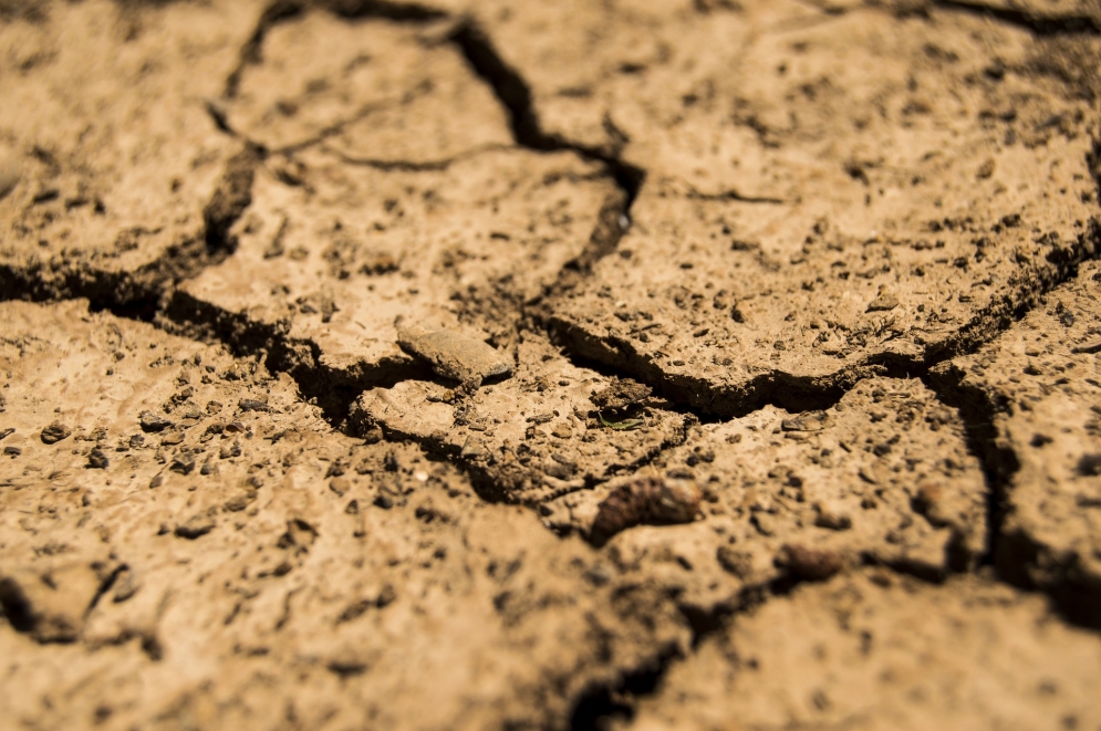 Rolnicy muszą przyzwyczaić się do suszy. Stale zagrożonych jest 45 proc. terenów rolnych i leśnych