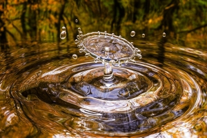 Wody pitnej nie zabraknie, ale specjaliści zalecają jej racjonalne zużycie w ogrodach. Do ich podlewania powinna służyć deszczówka, a nie woda pitna
